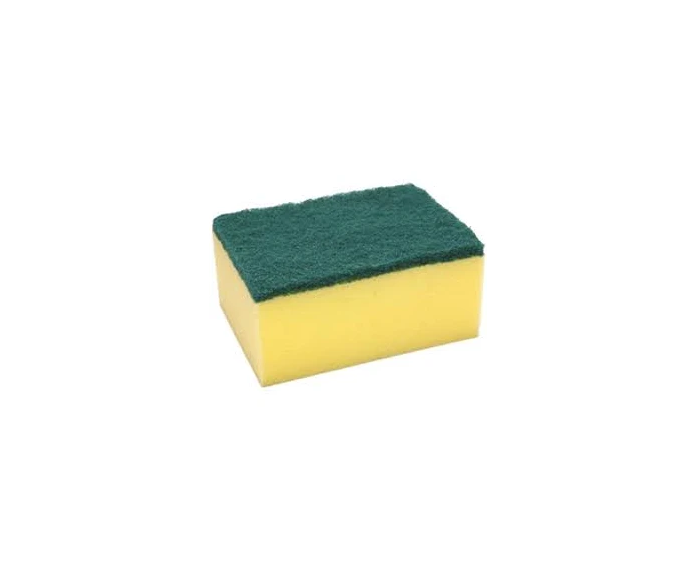 Scourer Sponge